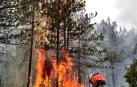Importante incendio en un pinar de Javerri moviliza a varios efectivos de bomberos y medios aéreos