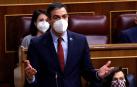 Pedro Sánchez, en el Congreso de los Diputados.