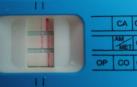 Test de drogas positivo.