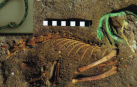 Descubierto en Egipto el cementerio de mascotas más antiguo conocido