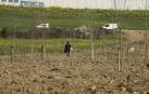 Comienza la reforestación de las huertas ilegales de Echavacoiz