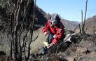 Se cumplen treinta años del incendio que dio luz a la Policía Ecológica en Navarra