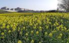 Fotos de la primavera enviadas por los lectores de diariodenavarra.es