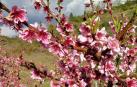 Fotos de la primavera enviadas por los lectores de diariodenavarra.es