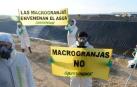 Greenpeace devuelve mil litros de agua contaminada a la macroganja de Caparroso