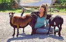 Abrazar ovejas para combatir la soledad, la iniciativa de una granja