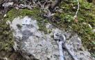 Señal colocada por los bomberos en el rápel de un barranco de la comarca de Pamplona