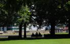 Un invierno cálido y mascarillas avanzan una primavera 'moderada' a los alérgicos