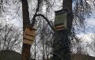 Instaladas cajas nido para aves insectívoras que combatirán a la polilla del boj