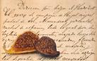 Siglo XVIII: una receta hispanojudía