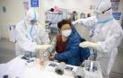 ¿Murciélagos o laboratorio? Las cuatro teorías sobre la Covid que maneja la OMS
