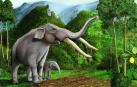 La extinción de la megafauna chilena dejó a este árbol sin ayuda para dispersar sus semillas