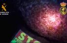 Vídeo del artefacto explosivo localizado en el Puerto de Pasaia
