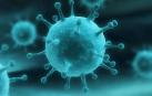 La gripe: El virus que siempre acecha