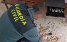 Detenido en Viana al ser sorprendido con una caja registradora tras un robo