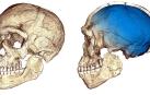Descubren en Marruecos los fósiles de 'Homo sapiens' más antiguos que se conocen