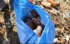 Vídeo: Limpian el contaminado lago Uru Uru de Bolivia convertido en un basurero