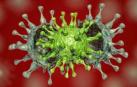Por qué es muy difícil reinfectarse por SARS-CoV-2