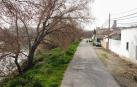 Camino de acceso a la Mejana en Tudela.