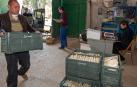 El espárrago arranca entre medidas de seguridad y caídas de venta en fresco