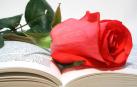 En Sant Jordi, el patrón de Cataluña desde el siglo XV y, según la fiesta popular, el hombre debe regalarle una rosa a la mujer y esta un libro a su pareja.