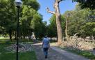 Las últimas tormentas parten 18 árboles en Pamplona