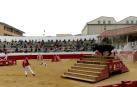 La zona media de Navarra acogió este domingo la primera exhibición de bravura de la mano de la ganadería Arriazu