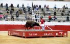 La zona media de Navarra acogió este domingo la primera exhibición de bravura de la mano de la ganadería Arriazu