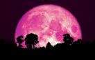 Superluna rosa