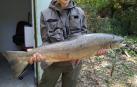 El primer salmón de 2021, capturado en Endarlatsa, adquirido por 1.000 euros