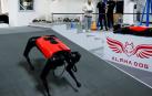 Una firma tecnológica agota sus perros robot que oyen, ven, suben escaleras y andan