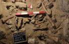 "Hallazgo excepcional" de restos de homínidos y animales en una cueva italiana