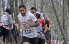 Corriendo entre pinos