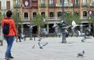 Alrededor de 8.000 palomas viven entre vecinos y casas de Pamplona