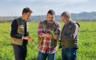 De izquierda a derecha: Alberto Torres (agricultor), el chef Ander González y el agricultor Ignacio Torres, en un campo de guisantes.