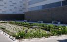 Los jardines de la UPNA de Tudela, ejemplo de éxito de drenaje sostenible en Navarra