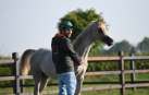 Un pamplonés, criador de caballos en una granja de Chimay (Bélgica)