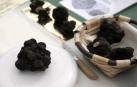 Un ejemplar de trufa negra del valle de la Valdorba