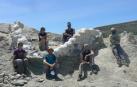 Recuperada una columna vertebral de un dinosaurio gigante en Camarillas (Teruel)