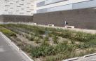 Aparcamiento de la UPNA en Tudela, donde se ha habilitado un jardín de drenaje que gestiona  de manera natural el agua de lluvia.