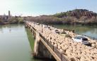 Un rebaño de ovejas cruza el puente del Ebro de Tudela entre los coches que también circulan por el mismo.
