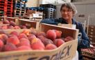 “Cada vez más personas con trabajo solicitan ayuda del Banco de Alimentos”