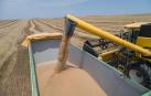 El agro navarro, ante una cosecha de cereal con menos kilos y precios altos