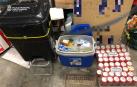 Alcohol intervenido al hombre denunciado.