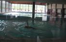 En una imagen de archivo, una persona se ejercita en una de las piscinas de Zelandi