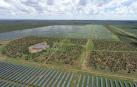 STI Norland, fabricante de seguidores solares para proyectos fotovoltaicos de gran escala
