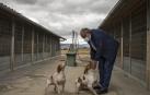 Bernardo Ibarrola Ripodas junto a sus perros en la Guardería Canina en Zizur Mayor
