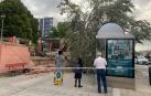 Policía Municipal acordona la zona tras la caída del árbol.