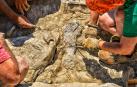 Los últimos hallazgos en el paraje de "Peña Cárcena", en Igea, (La Rioja), constituyen "un éxito" para el campo de la paleontología mundial