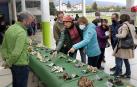 Javier Gómez, uno de los gestores del Parque Micológico de Ultzama, muestra algunos hongos de la feria